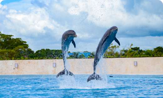 Quintana Roo, México