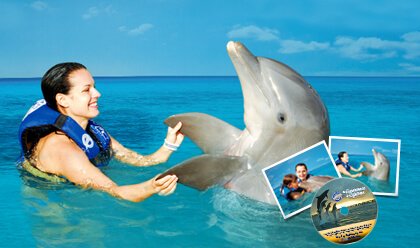 Dolphin Swim Adventure Memories Package 
