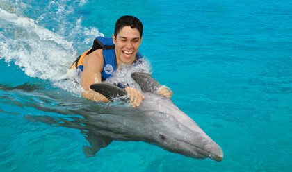 Dolphin Swim Adventure Dolphin Swim Adventure