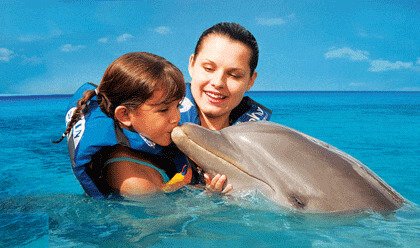 Dolphin Encounter Dolphin Encounter