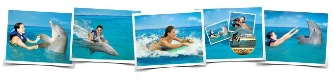 Dolphin Swim Adventure in Dreams Puerto Aventuras