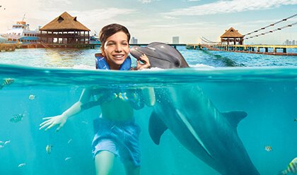 Dolphin Encounter 