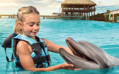 Dolphin Royal Swim 