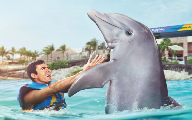 Dolphin Swim Adventure Dolphin Swim Adventure