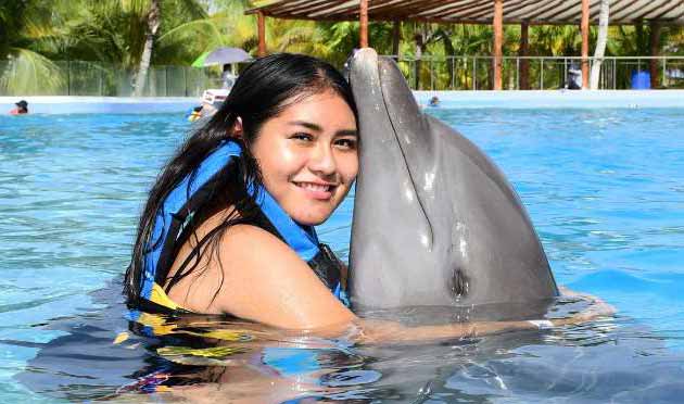 Dolphin Royal Swim 