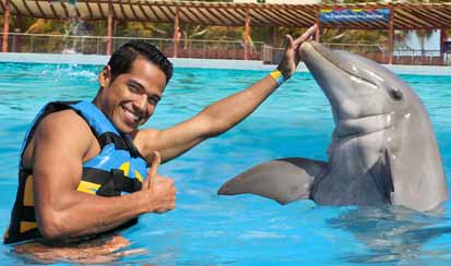 Dolphin Swim Adventure 