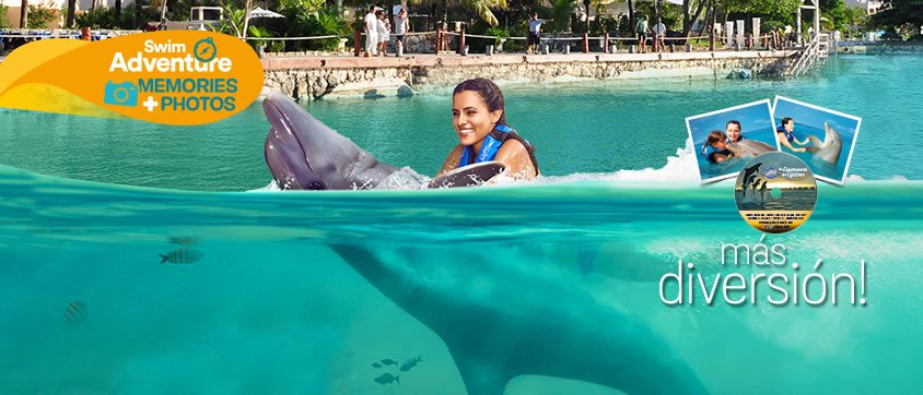 Dolphin Swim Adventure Memories Program