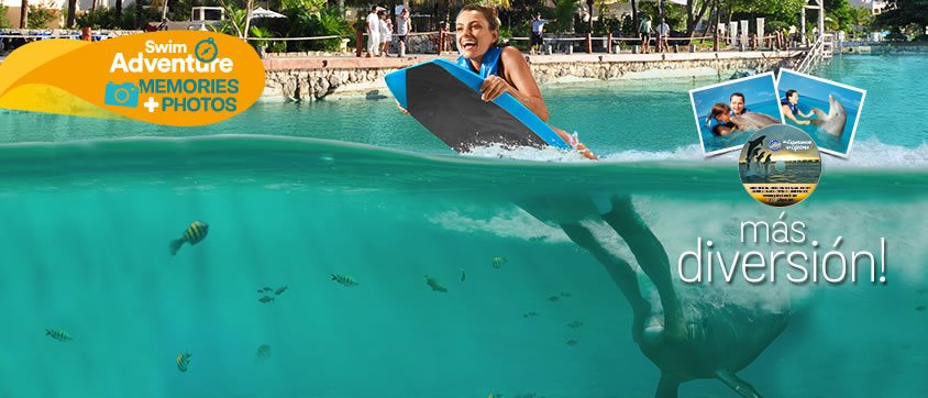 Dolphin Swim Adventure Memories Program