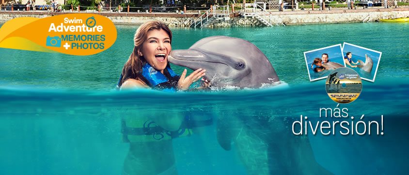 Dolphin Swim Adventure Memories Program