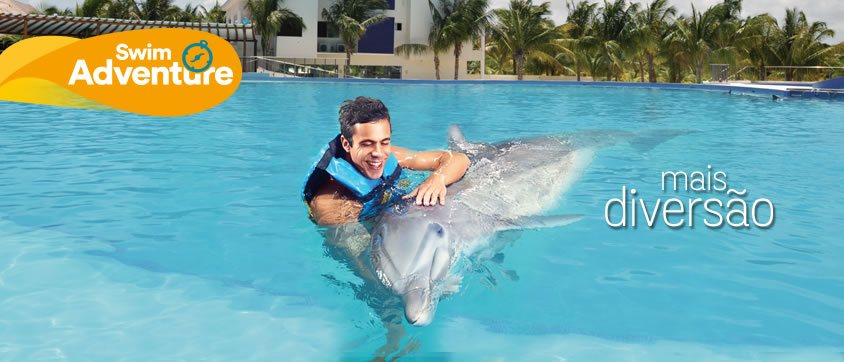 Dolphin Swim Adventure Program