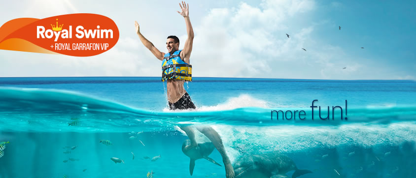 Dolphin Royal Swim + Royal Garrafon VIP Program