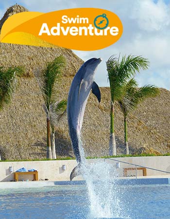 Dolphin Swim Adventure Program